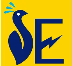 Seyon Enterprises logo